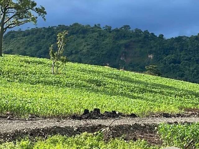 Área para Venta en Pedro Carbo - 4