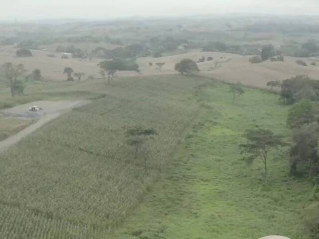 #1 - Área para Venta en Pedro Carbo - G