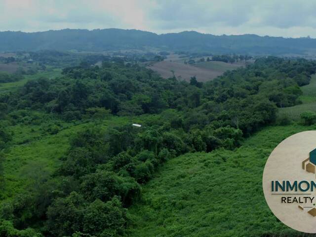 Granja  Finca para Venta en Guayaquil - 4